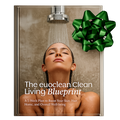 🎁 Wellness eBook (100% off)